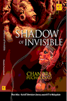 Shadow of Invisible (English)